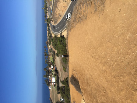 Scenic Coastal Walk With a Lone Figure Overlooking the Ocean and Palm Trees in Bright Sunlightの写真素材