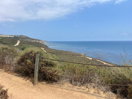 Coastal Path Along the Serene Shoreline With Gentle Waves Under a Clear Blue Skyの写真素材