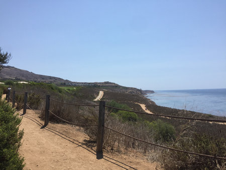 Scenic Coastal Path Winding Alongside the Tranquil Sea on a Sunny Summer Dayの写真素材