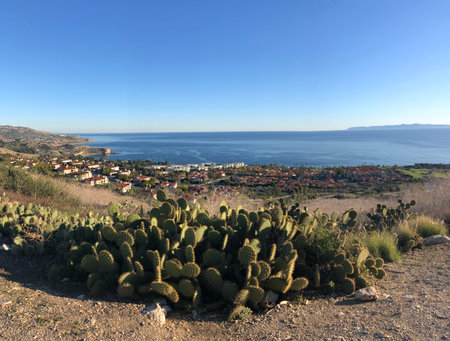 Scenic View of Coastal Landscape With Cactus Foreground Under a Clear Blue Sky at Sunsetの写真素材