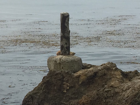 Rocky Shoreline Features a Lonely Pillar Surrounded by Gentle Waves and Seaweed Under a Calm Sky at Middayの写真素材