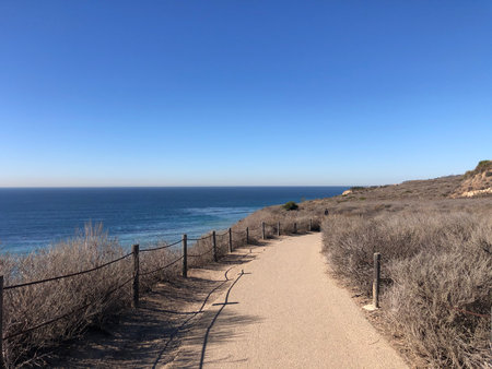 Scenic Coastal Trail Along the Ocean Under a Clear Sky Near a Serene Landscapeの写真素材