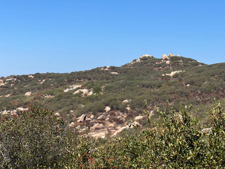 In the Heart of Nature, Rocky Hills Blend With Vibrant Vegetation Under a Clear Blue Sky During a Sunny Afternoonの写真素材