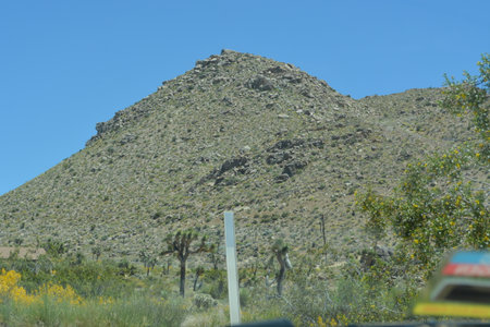 Mountains Rise in the Desert Landscape Under a Clear Blue Sky on a Sunny Day With Vibrant Greenery Belowの写真素材