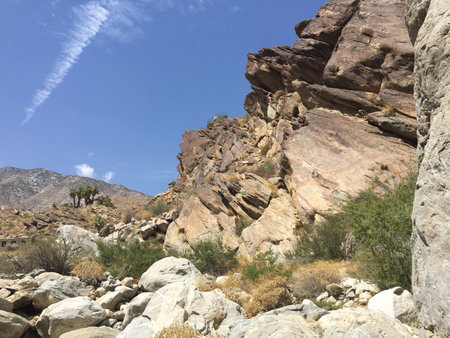 Rocky Landscape Adorned With Lush Greenery and Vibrant Skies Near Desert Mountains in Springtimeの写真素材