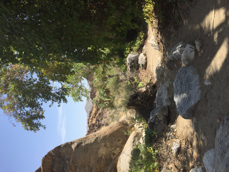 Scenic Trail Leading Through Rocky Terrain With Lush Greenery Under a Clear Blue Skyの写真素材