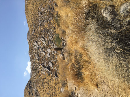 Golden Hills Cradle a Monument Under the Bright Sun in a Serene Desert Landscapeの写真素材