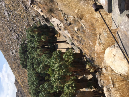 Palm Oasis Nestled Among Rocky Hills Showcasing Nature's Beauty in the Sunlightの写真素材