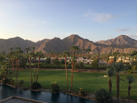Stunning Landscape at Sunset With Palm Trees and Mountains in the Backgroundの写真素材