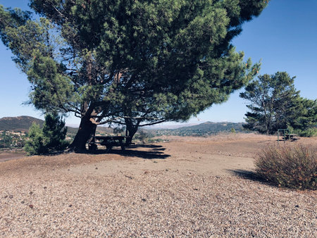 Serenity Under a Sprawling Tree at a Scenic Viewpoint on a Sunny Day in Natureの写真素材