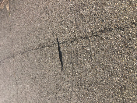 Rattle Snake  Basking in the Sun on a Cracked Asphalt Road in the Afternoonの写真素材