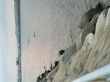 Dolphins Playfully Surf the Waves at Sunset Near the Shoreline of a Coastal Cityの写真素材