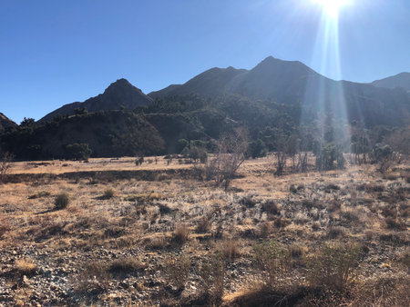 Mountains Rise Majestically Above Golden Fields Under a Bright Sun, Creating a Stunning Natural Landscapeの写真素材