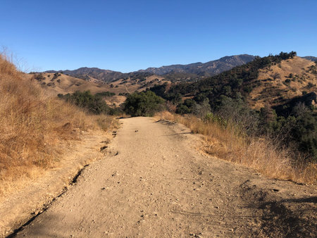 Scenic Dirt Trail Winding Through Golden Hills Under a Clear Blue Skyの写真素材
