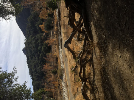 Nature's Tranquility Unfolds in a Serene Valley Under the Golden Sunの写真素材