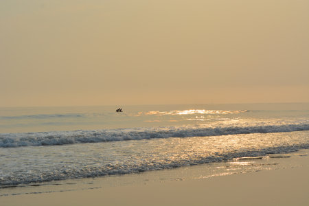 Surfer Rides the Gentle Waves at Twilight on a Calm Beach Under a Soft Golden Skyの写真素材