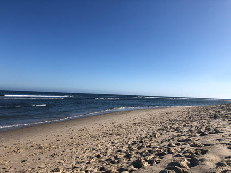 Waves Gently Lap at the Sandy Shore Under a Clear Blue Sky on a Tranquil Beach in the Early Morning Sunの写真素材