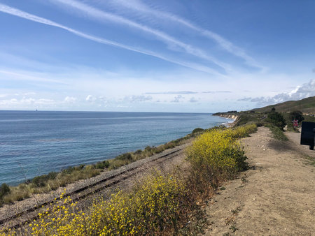 Scenic Coastal View With Vibrant Wildflowers and a Clear Blue Sky Near a Train Track by the Oceanの写真素材