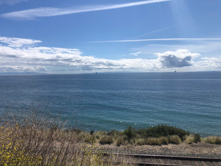 Serene Coastal View With Gentle Waves Reflecting the Bright Sky During a Peaceful Afternoon by the Shorelineの写真素材