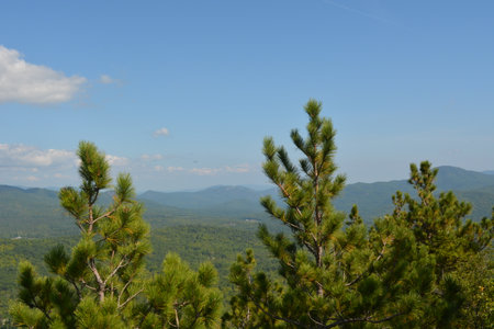 Lush Green Mountains Under Clear Blue Skies With Evergreen Trees Reaching for the Horizon