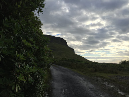 Scenic Countryside Road Weaving Through Lush Greenery With Majestic Mountains Under a Cloudy Skyの写真素材