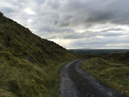 Winding Road Through Lush Greenery Under an Overcast Sky in a Serene Countryside Landscapeの写真素材
