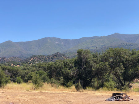Mountains Rise Above Green Trees Under a Clear Blue Sky in a Serene Natural Landscapeの写真素材