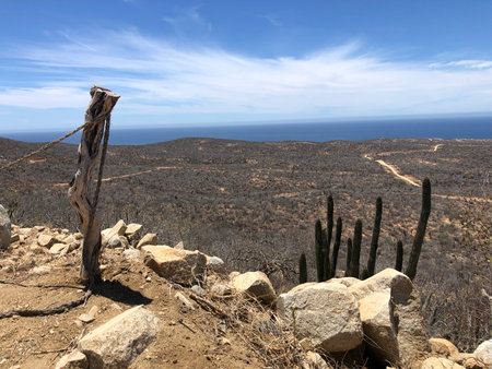 Expansive View of Desert Landscape Meets the Ocean Under a Bright Blue Skyの写真素材