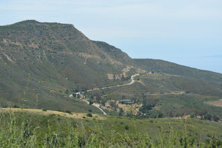 Scenic Winding Road Through Lush Hills Under a Clear Sky Near a Coastal Regionの写真素材