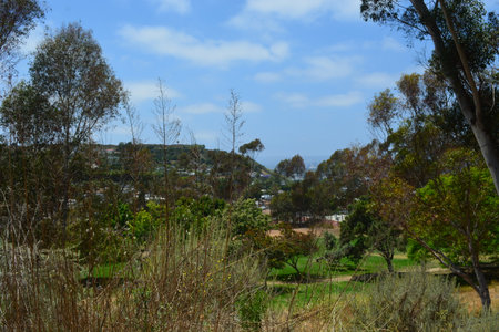 Breathtaking View From a Hillside Overlooking a Coastal Town Under a Sunny Sky With Lush Greeneryの写真素材