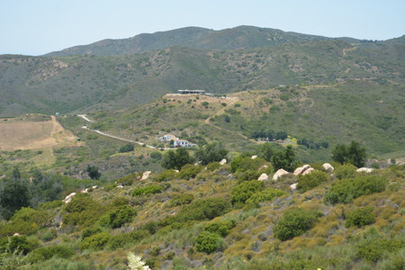 Rolling Hills and Green Valleys Capture the Beauty of Nature in a Serene Landscape at Midday in the Countrysideの写真素材