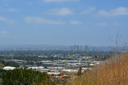 Cityscape Panorama Viewed From a Hillside During a Bright Sunny Day Near Los Angelesの写真素材