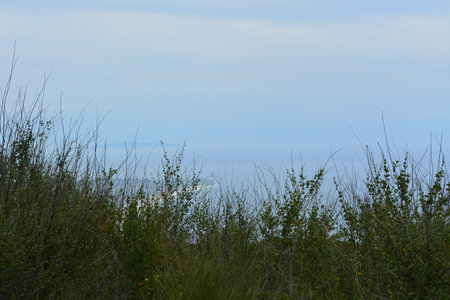 Serenity of Nature With Distant Mountains and Clouds on a Tranquil Day by the Coastの写真素材