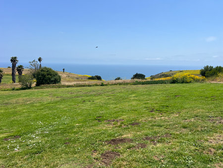 Rolling Hills Meet Ocean Views Under a Bright Blue Sky Near a Lush Green Meadowの写真素材