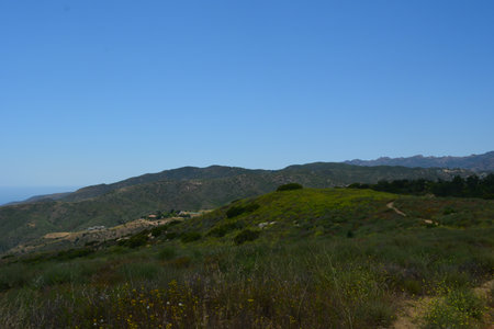 Vibrant Hills Under a Clear Sky Showcase Nature's Beauty in a Peaceful Landscapeの写真素材
