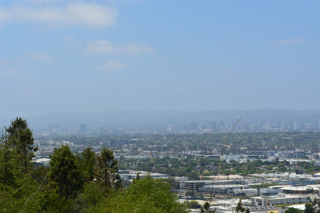 Stunning View of a Vibrant City Skyline Surrounded by Lush Greenery on a Sunny Day in Californiaの写真素材
