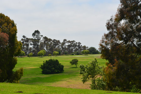 Green Landscape With Trees and Distant Hills Under a Cloudy Sky at Middayの写真素材