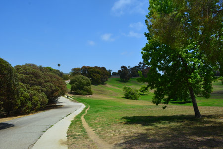 An Inviting Pathway Leads Into a Serene Park Surrounded by Lush Greenery Under a Bright Blue Skyの写真素材