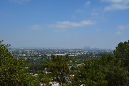 Expansive City Skyline Revealed From a Serene Hilltop Viewpoint on a Clear Dayの写真素材