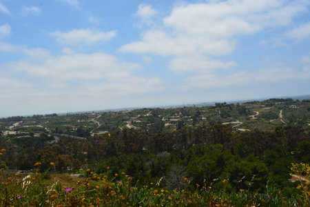 Breathtaking View of Winding Trails Through Lush Green Hills on a Sunny Day in the Countrysideの写真素材