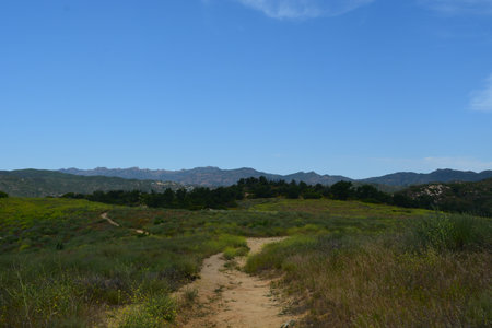 Scenic Pathway Through Lush Green Hills on a Sunny Day in the Countrysideの写真素材
