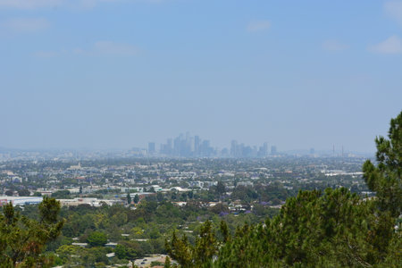 City Skyline View From a Green Hilltop on a Sunny Day With Clear Blue Skies and Distant Skyscrapersの写真素材