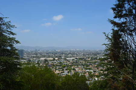 Vast Urban Landscape Viewed From Hillside Under Clear Blue Sky in Sunny Afternoonの写真素材