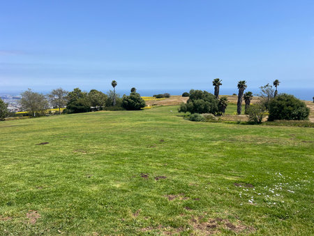 Expansive Green Meadow Under a Bright Sky With Distant Hills and Ocean Views During Middayの写真素材