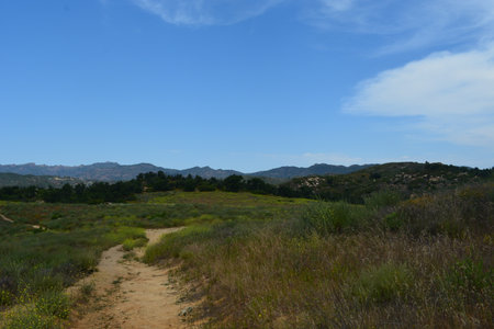Scenic Hike Through Lush Green Hills Under a Bright Blue Sky With Distant Mountains in the Backgroundの写真素材