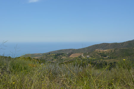 Serene Coastal Landscape View From a Hillside Overlooking the Ocean on a Clear Sunny Dayの写真素材