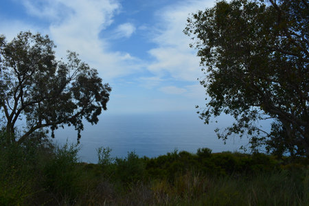 Serene Coastal View With Lush Greenery and Gentle Clouds Above the Calm Ocean at Middayの写真素材
