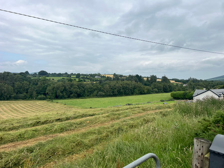 Lush Green Fields Stretch Under a Cloudy Sky at the Edge of a Tranquil Rural Landscape in Early Afternoonの写真素材