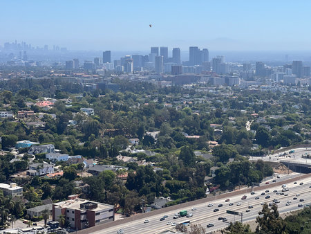 City Skyline Overlooks Lush Greenery With Busy Highway Below on a Sunny Dayの写真素材