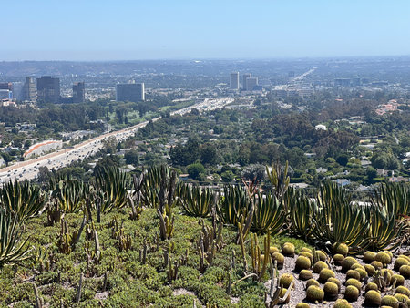 Vibrant Green Landscape Overlooking a Bustling City Filled With Life and Nature on a Sunny Dayの写真素材